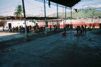 carnaval rio de janeiro 2002